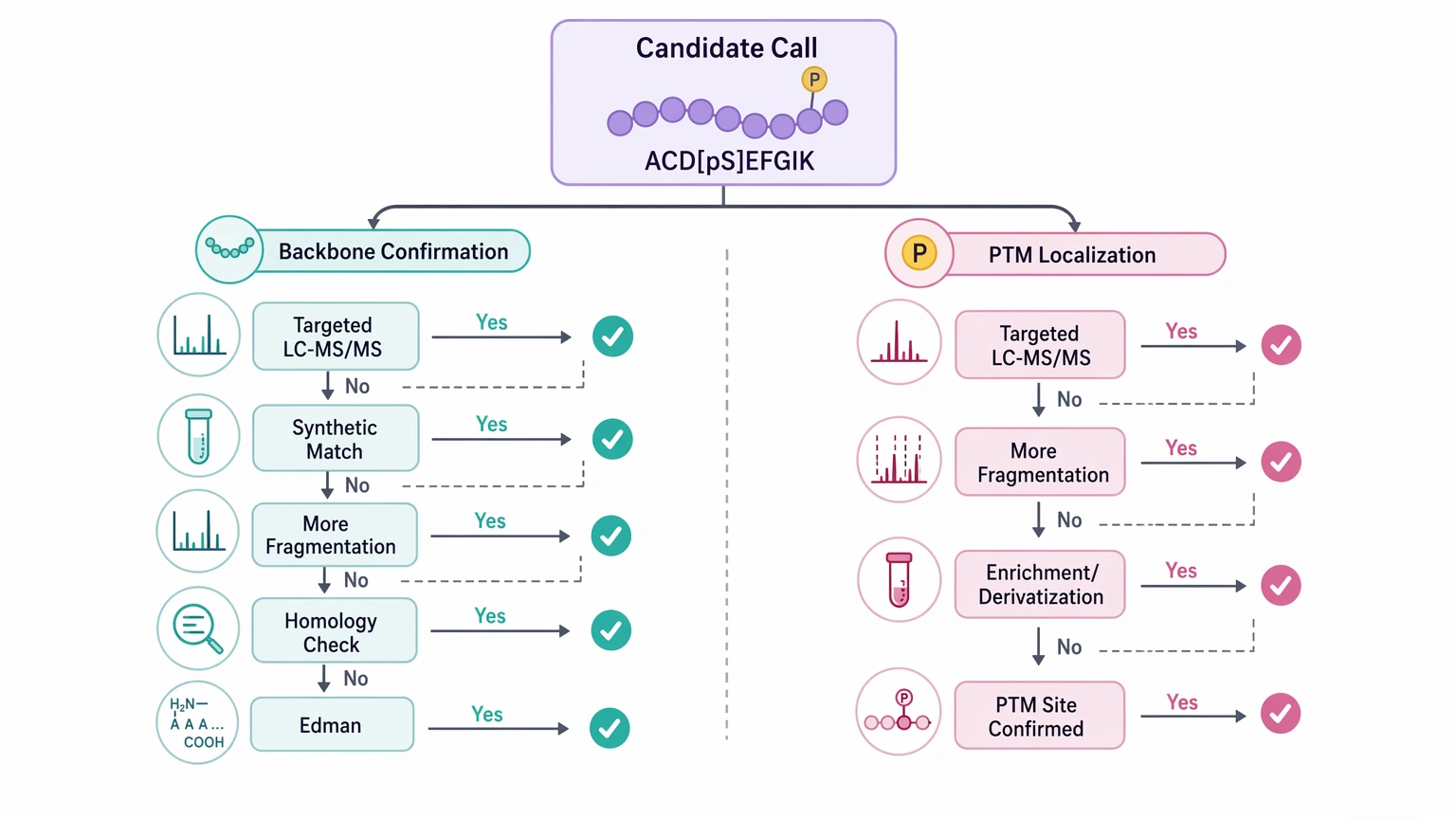 de novo peptide sequencing algorithm validation decision path for orthogonal confirmation routes