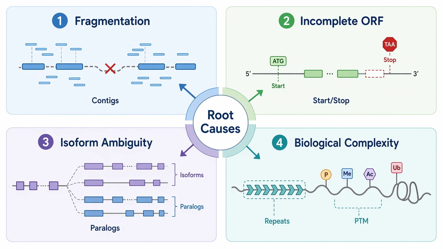 de novo sequencing illumina problem localization diagram with four root causes including fragmentation, incomplete ORF recovery, isoform ambiguity, and biological complexity