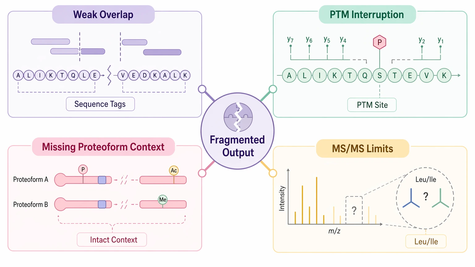 mate pair sequencing de novo cause map showing four sources of fragmented LC-MS/MS sequence interpretation
