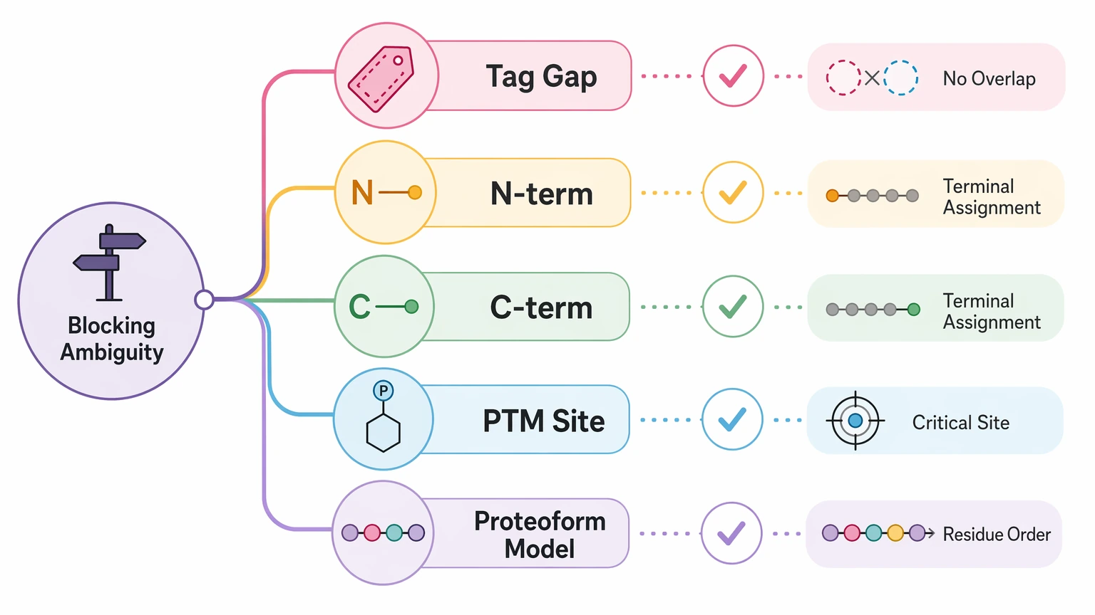 mate pair sequencing de novo decision path for identifying sequence ambiguity targets in de novo protein sequencing