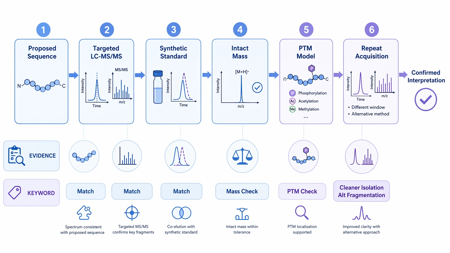 de novo peptide sequencing follow-up confirmation workflow with targeted LC-MS/MS and validation checkpoints