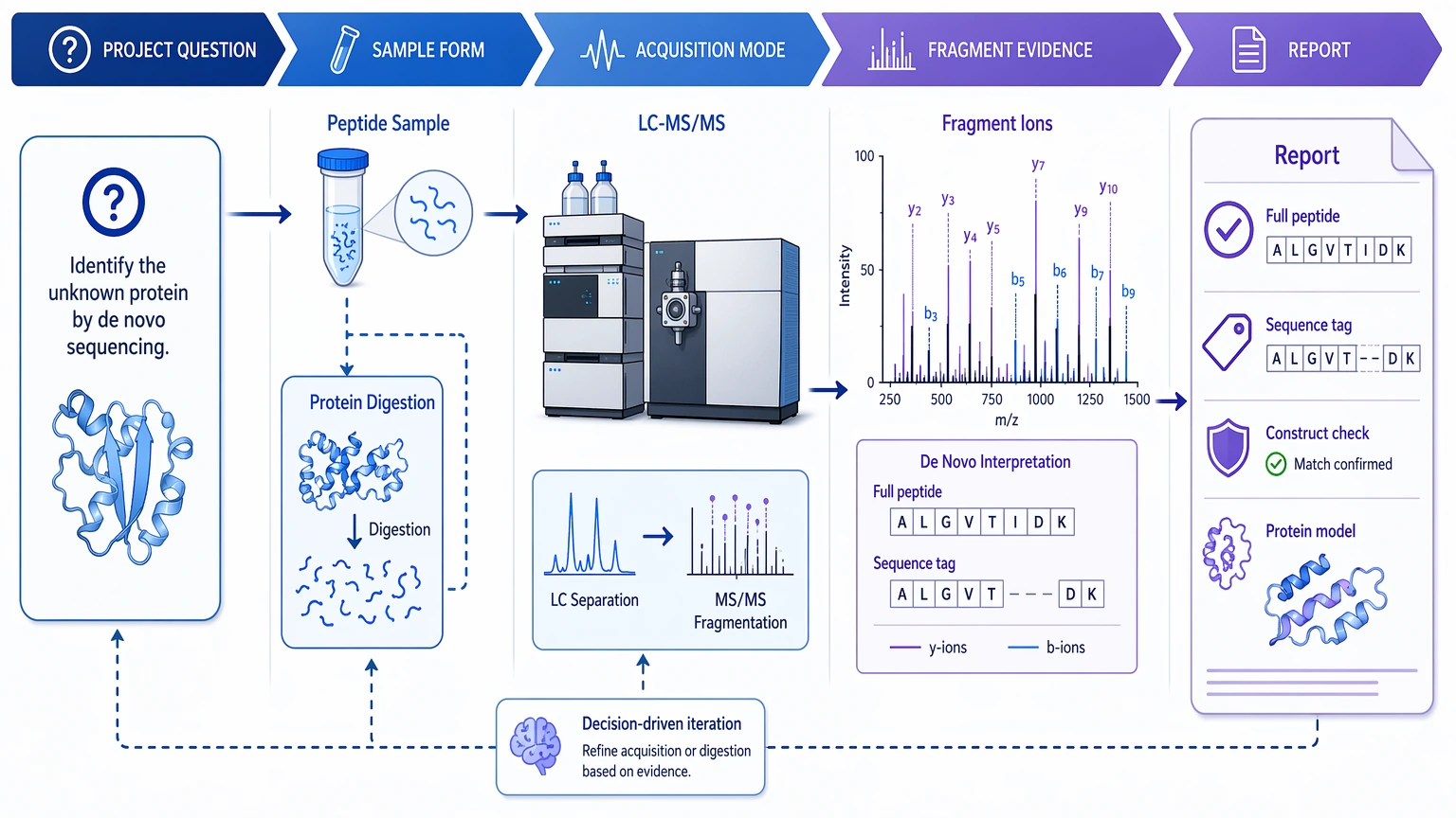 de novo sequencing of proteins by mass spectrometry workflow map from project question to LC-MS/MS fragment evidence and report