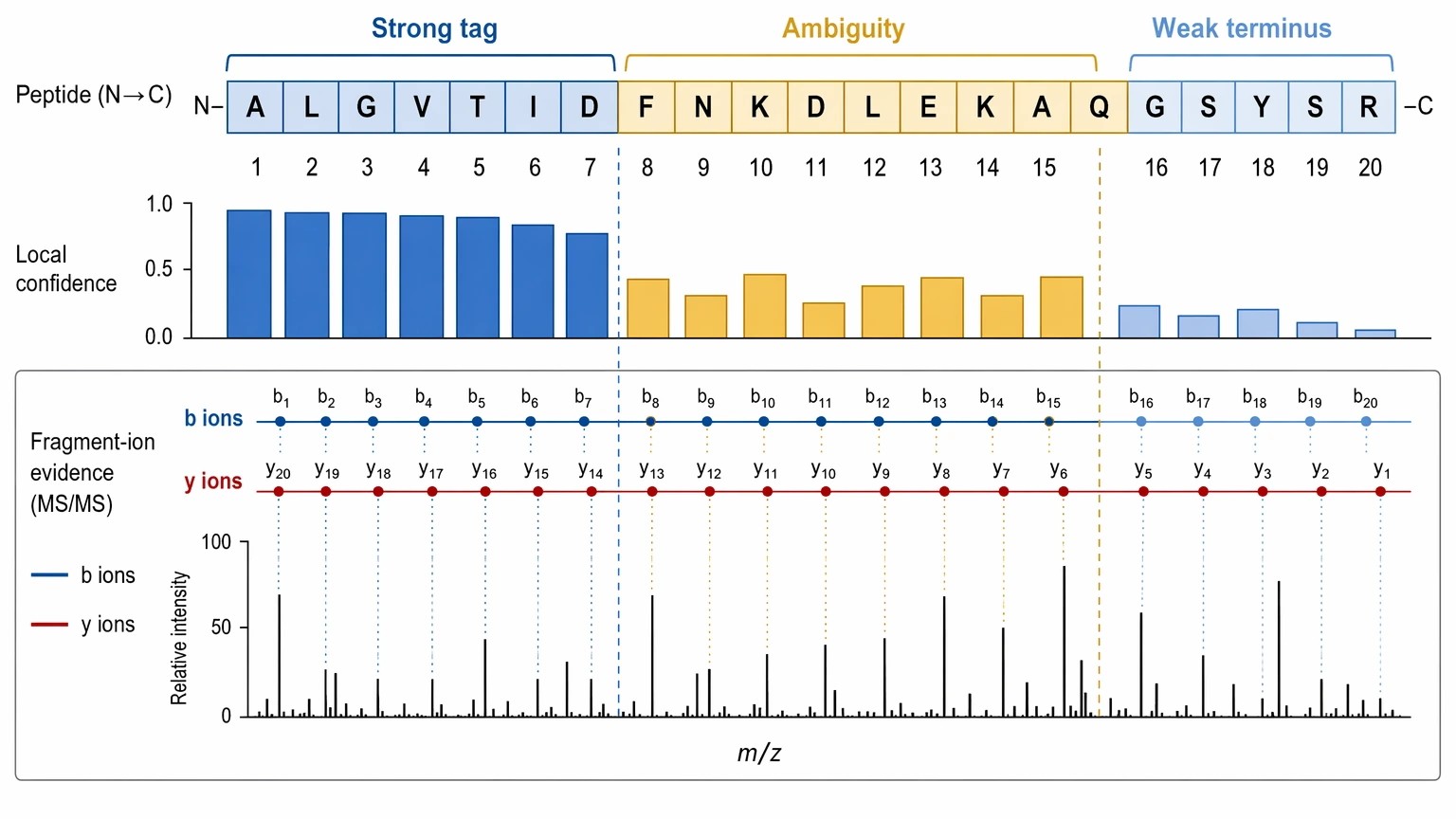 de novo sequencing of proteins by mass spectrometry fragment evidence view showing strong tag, ambiguity, and weak terminus confidence zones