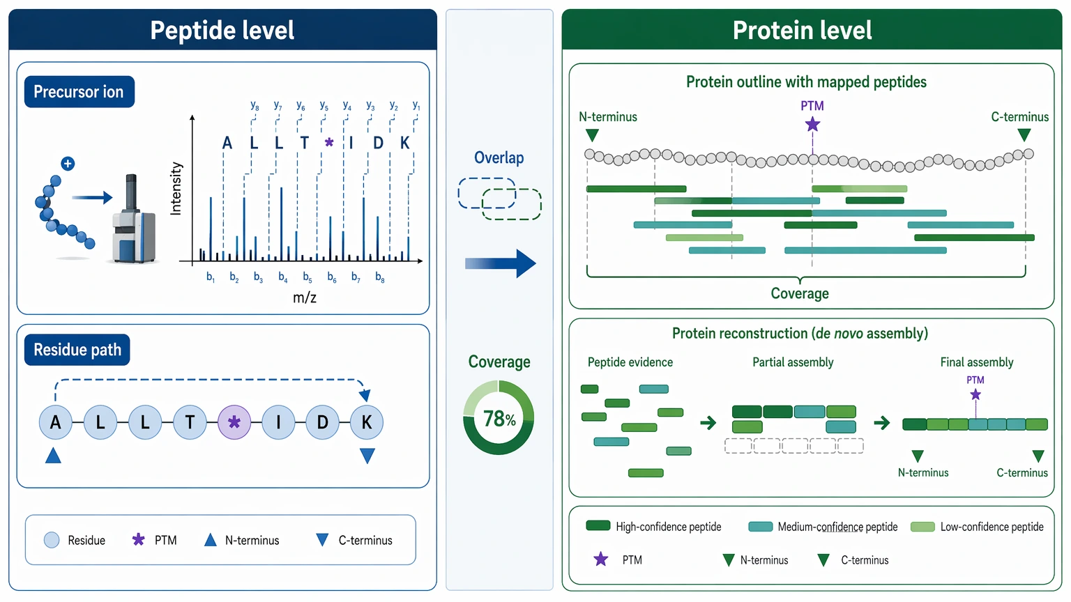 de novo sequencing of proteins by mass spectrometry comparison diagram of peptide-level inference and protein-level reconstruction