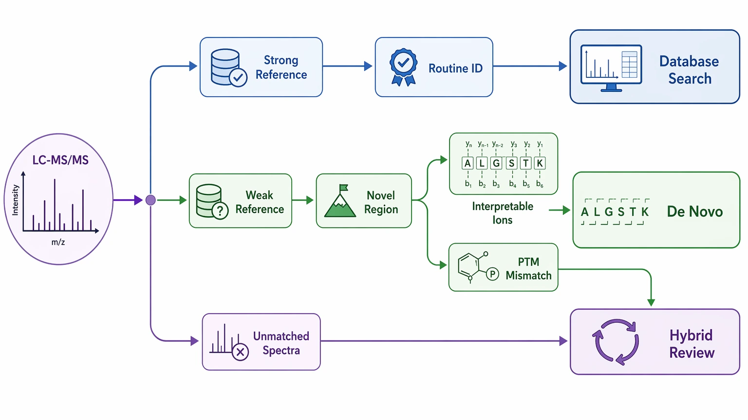 De novo sequencing using mass spectrometry decision path comparing database search, de novo analysis, and hybrid review
