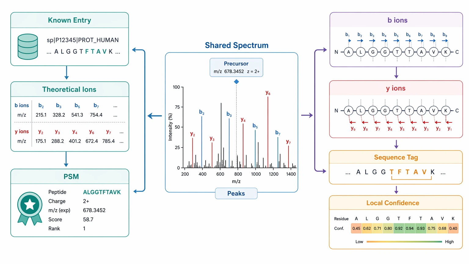 De novo sequencing using mass spectrometry evidence view showing spectrum-to-PSM and spectrum-to-sequence routes