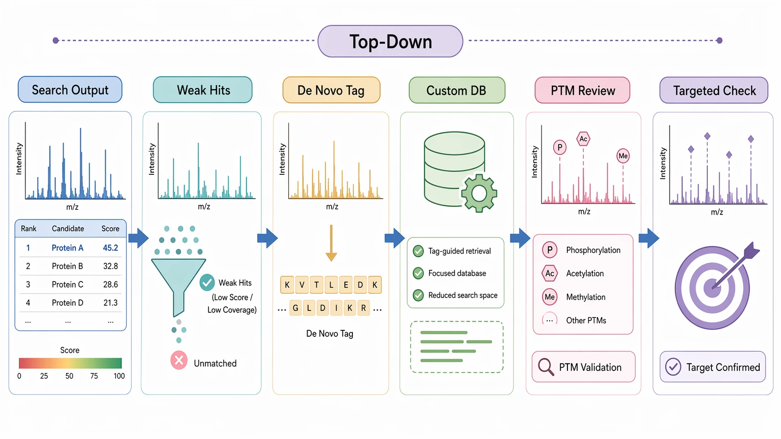 De novo sequencing using mass spectrometry hybrid review path for unmatched spectra and custom database refinement