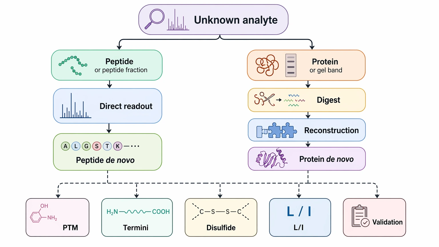 Peptide and protein de novo sequencing by mass spectrometry decision path diagram based on starting sample type.