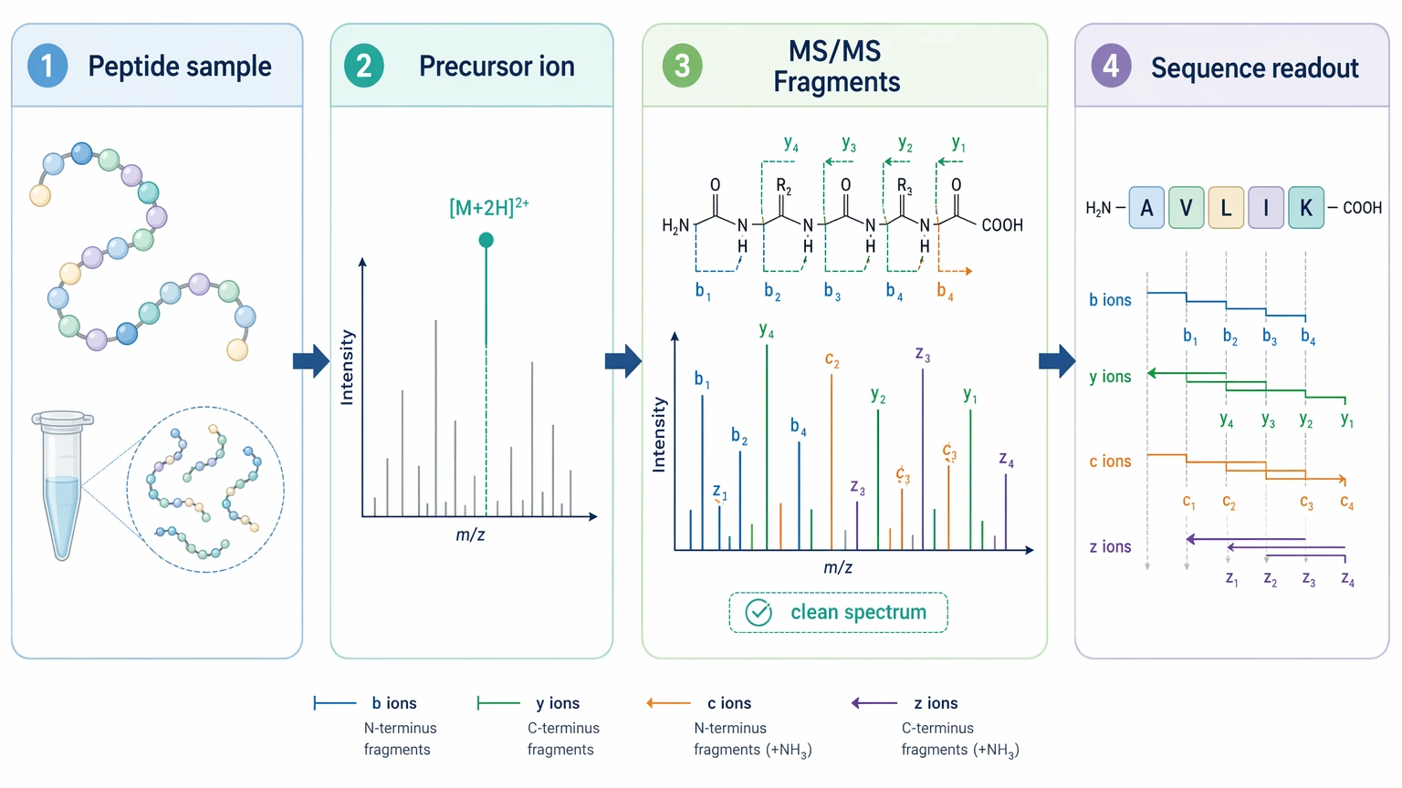 Peptide and protein de novo sequencing by mass spectrometry direct peptide LC-MS/MS readout diagram.