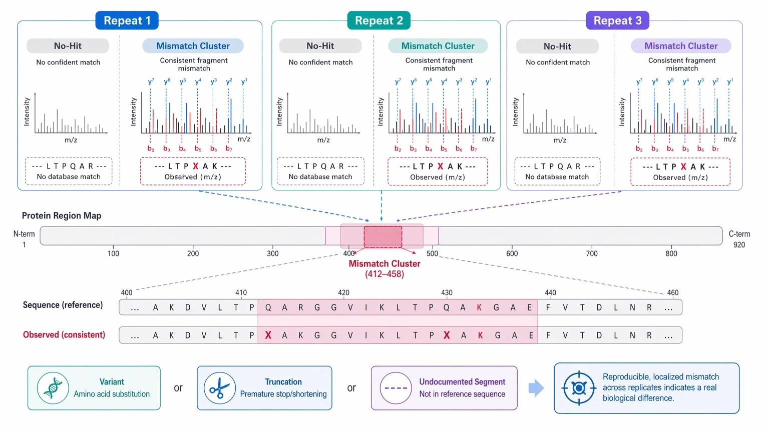 De novo protein sequencing evidence view showing reproducible unmatched peptides and localized mismatch clusters