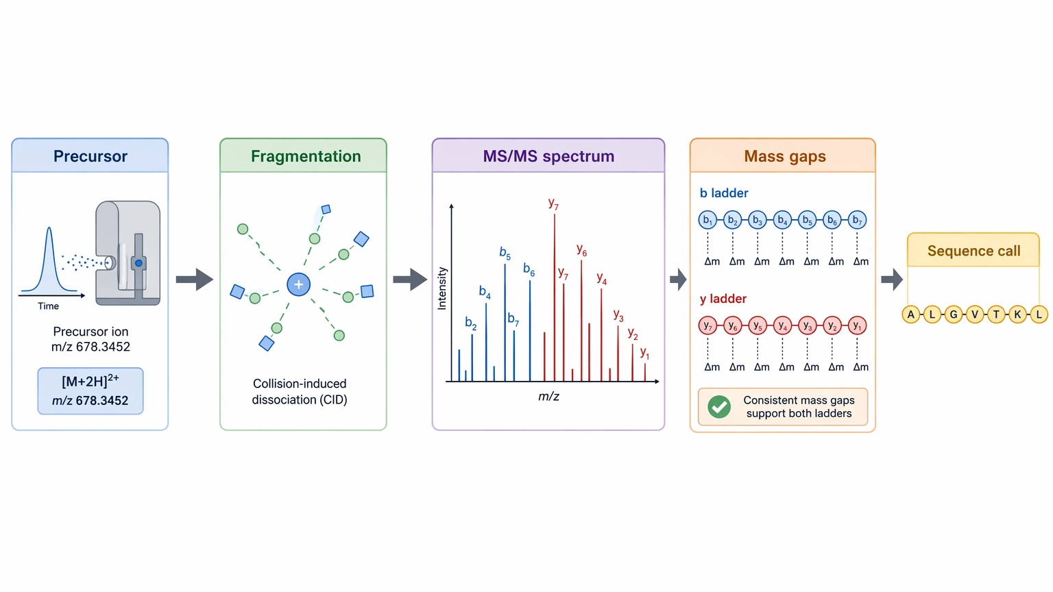 De novo sequencing workflow diagram showing how does de novo sequencing work from precursor mass to ion-ladder sequence call