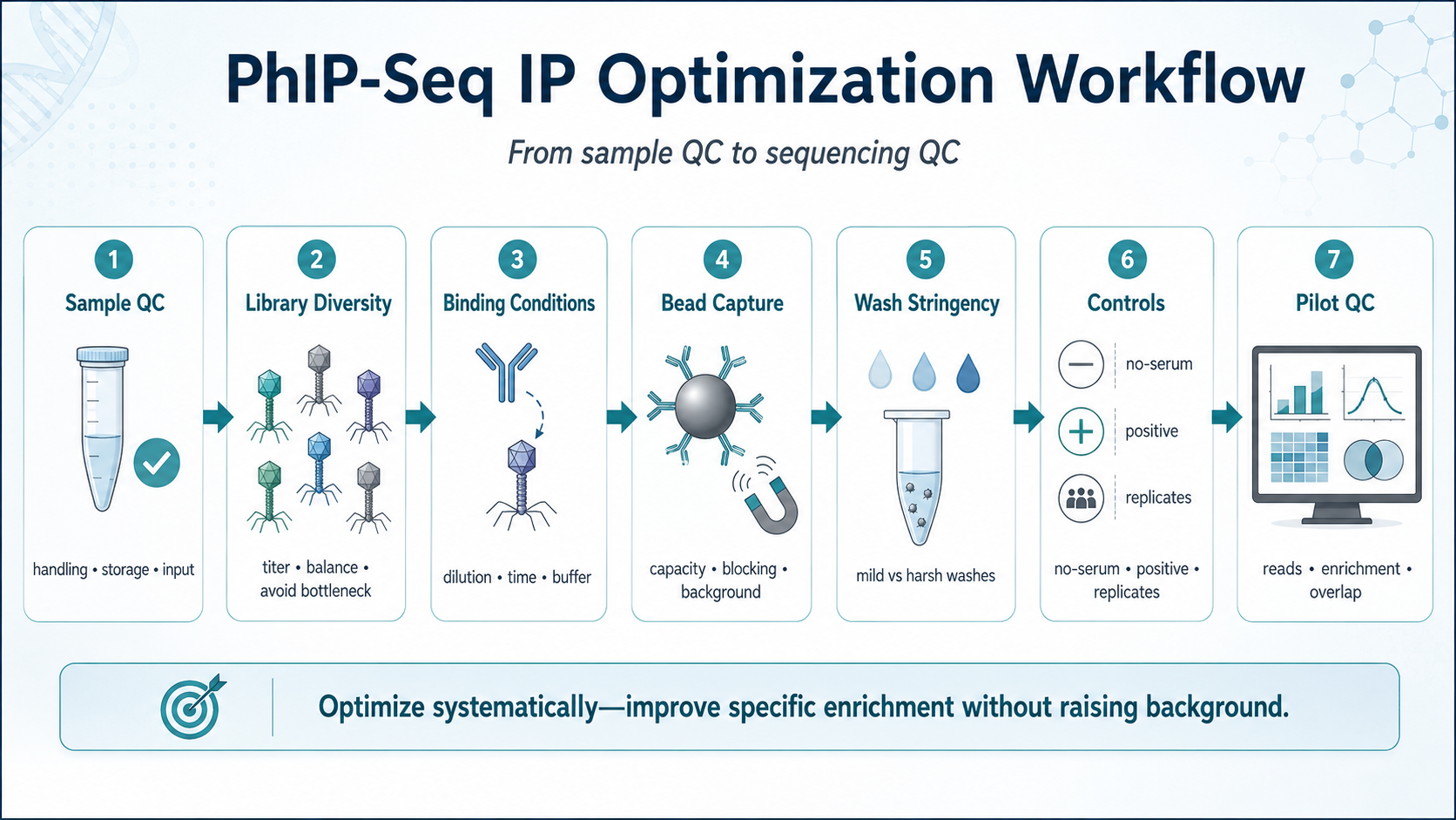 PhIP-Seq IP optimization workflow