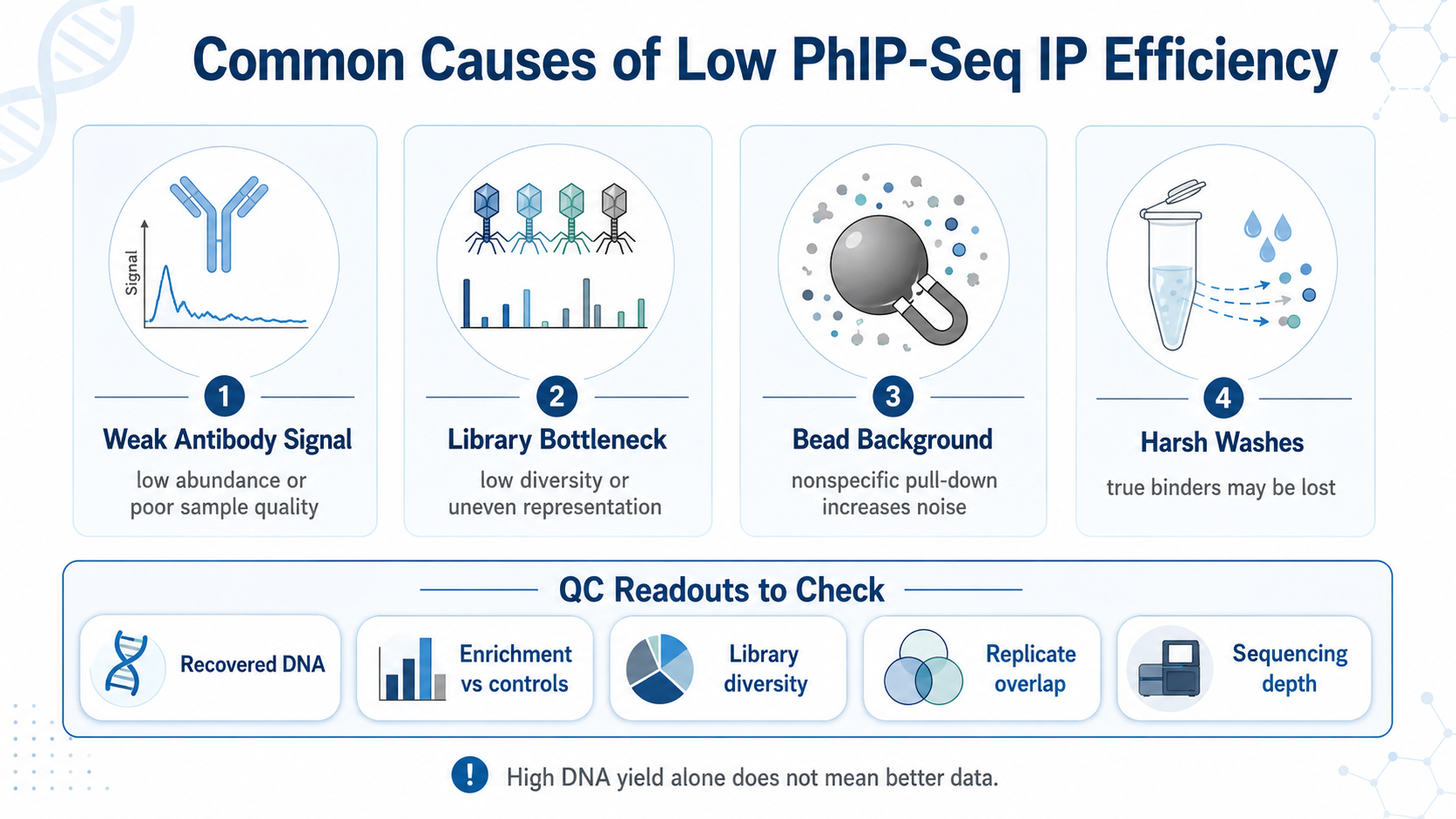 Common causes of low PhIP-Seq IP efficiency
