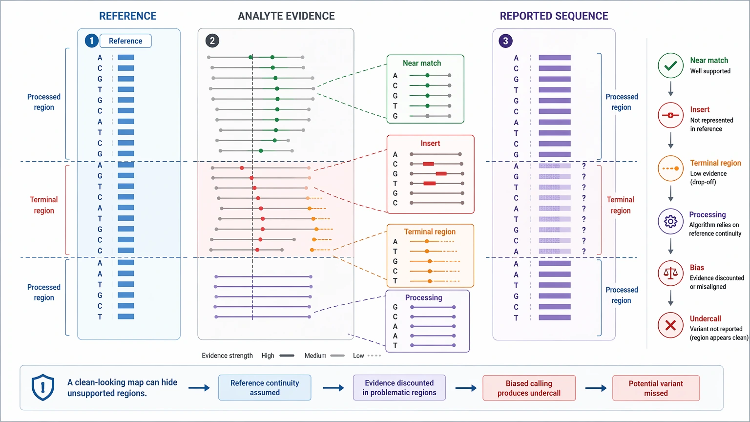 De novo sequencing vs resequencing problem localization view of reference bias in resequencing