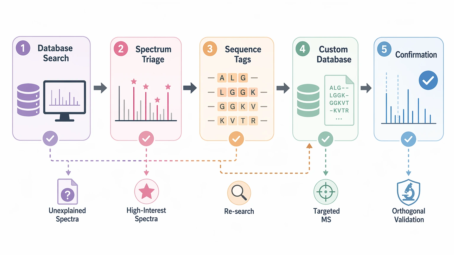 de novo sequencing vs database search hybrid workflow diagram for peptide discovery projects