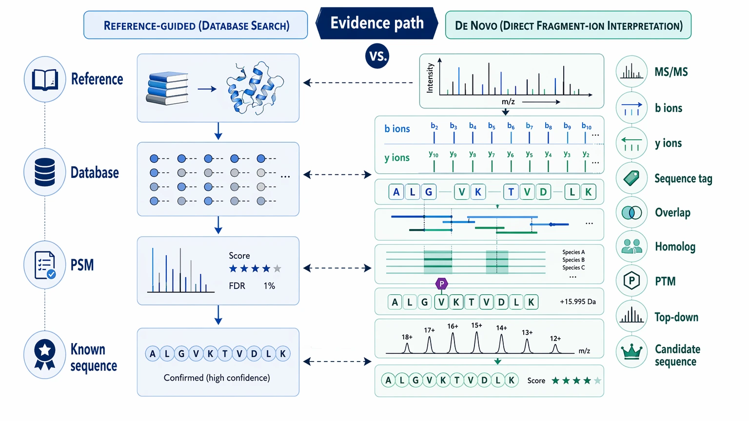 Difference between re sequencing and de novo genome assembly evidence map showing de novo fragment ion sequencing path