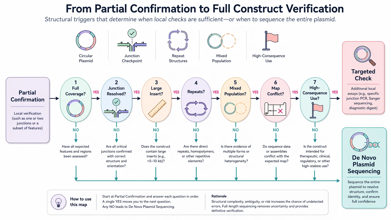 de novo plasmid sequencing decision path showing escalation triggers from partial confirmation to full construct verification