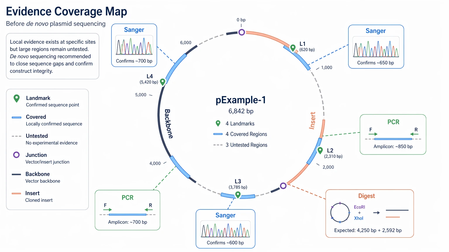de novo plasmid sequencing evidence map showing Sanger PCR and digest coverage against a full circular plasmid