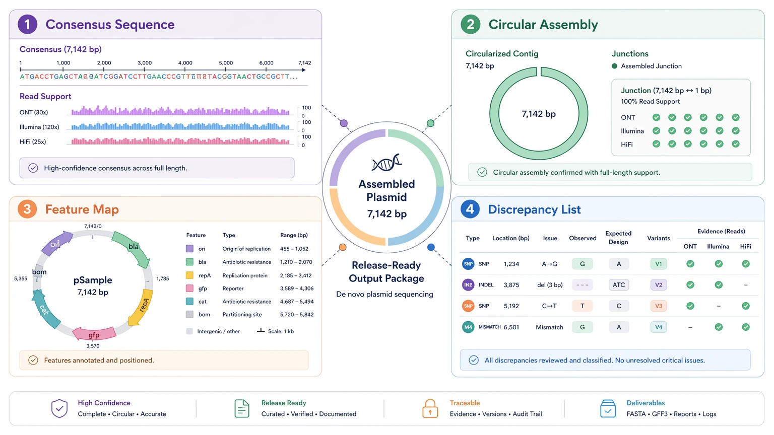 de novo plasmid sequencing deliverables map showing consensus sequence circular assembly feature map and discrepancy evidence