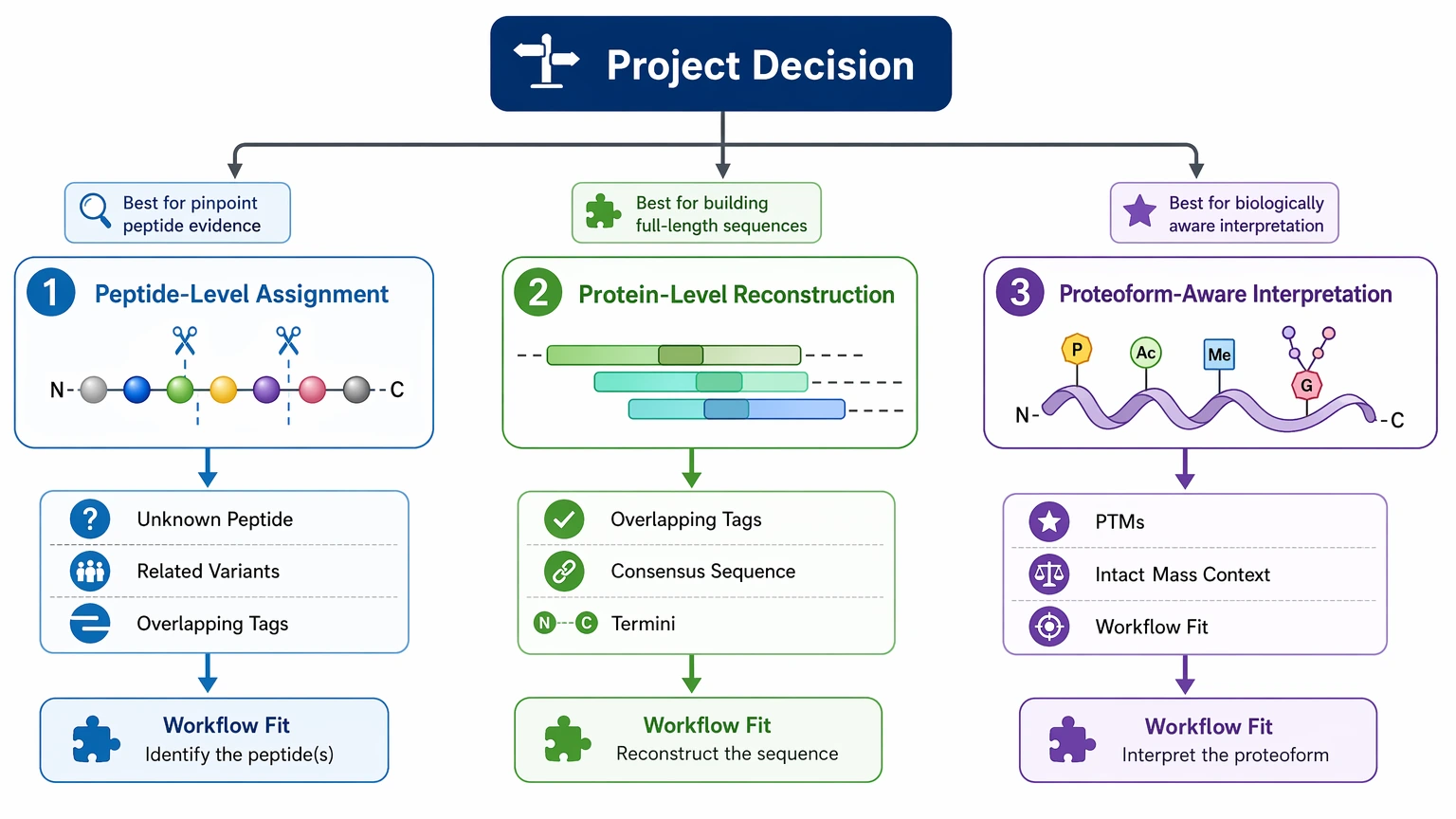 De novo sequencing strategy decision path showing peptide-level, protein-level, and proteoform-aware deliverable choices