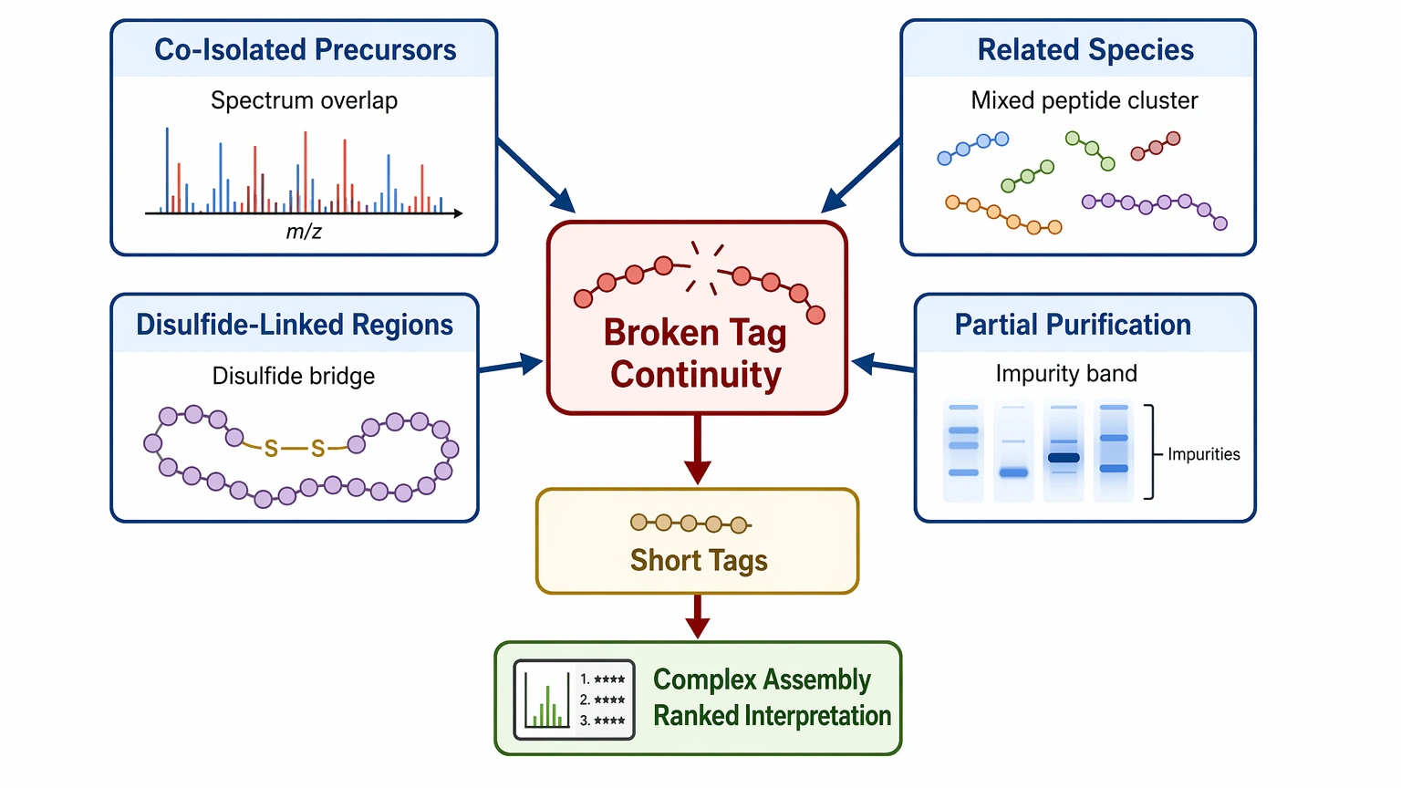 De novo sequencing strategy problem localization diagram for sample heterogeneity and broken sequence-tag continuity
