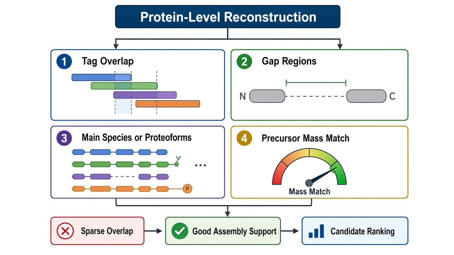De novo sequencing strategy checkpoint diagram for protein-level reconstruction from overlapping peptide tags