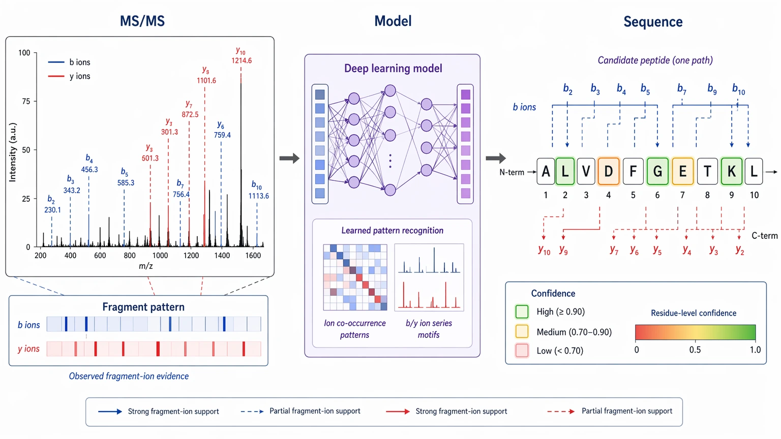 de novo peptide sequencing by deep learning spectrum interpretation evidence map from MS/MS peaks to sequence