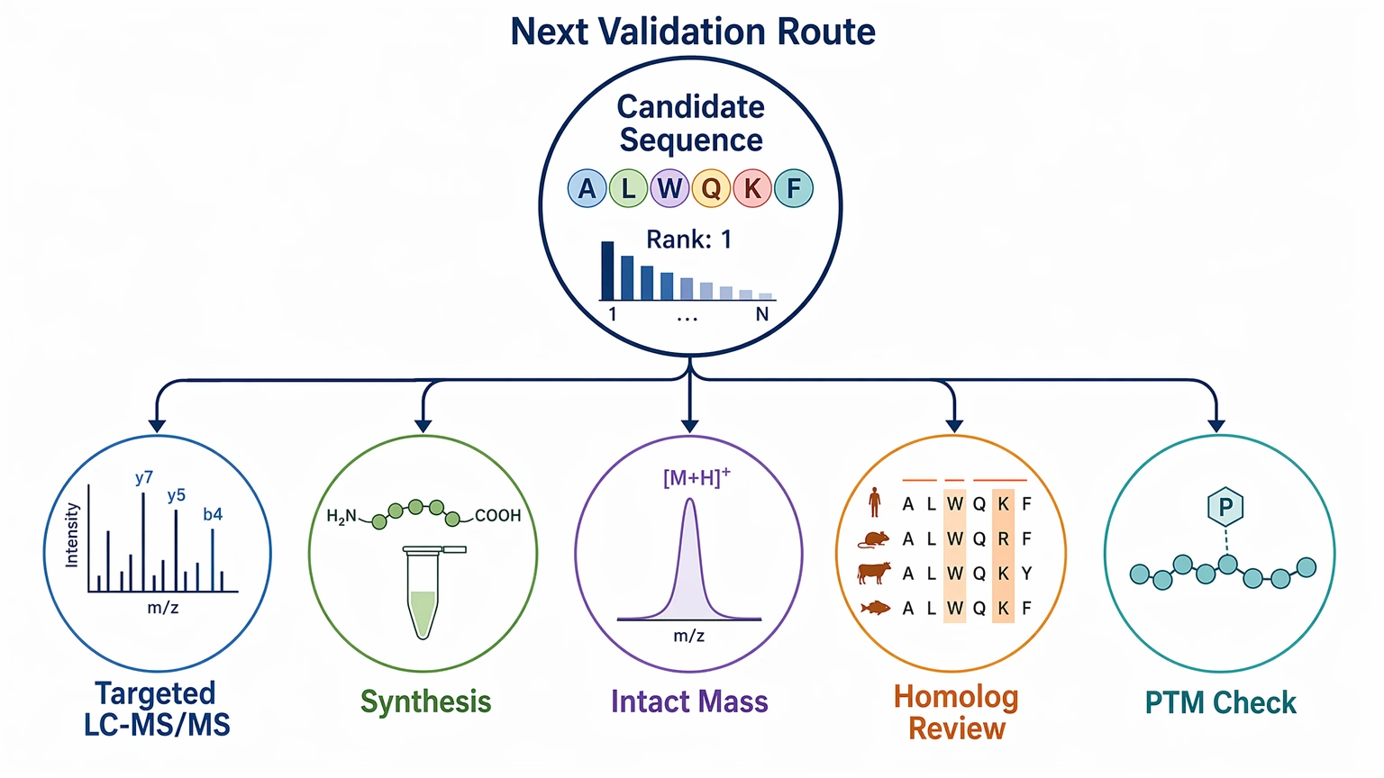 de novo peptide sequencing by deep learning validation route guide after candidate sequence ranking