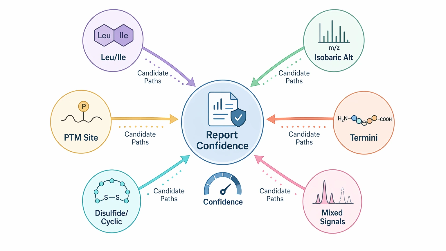 De novo peptide sequencing ambiguity driver map for report planning