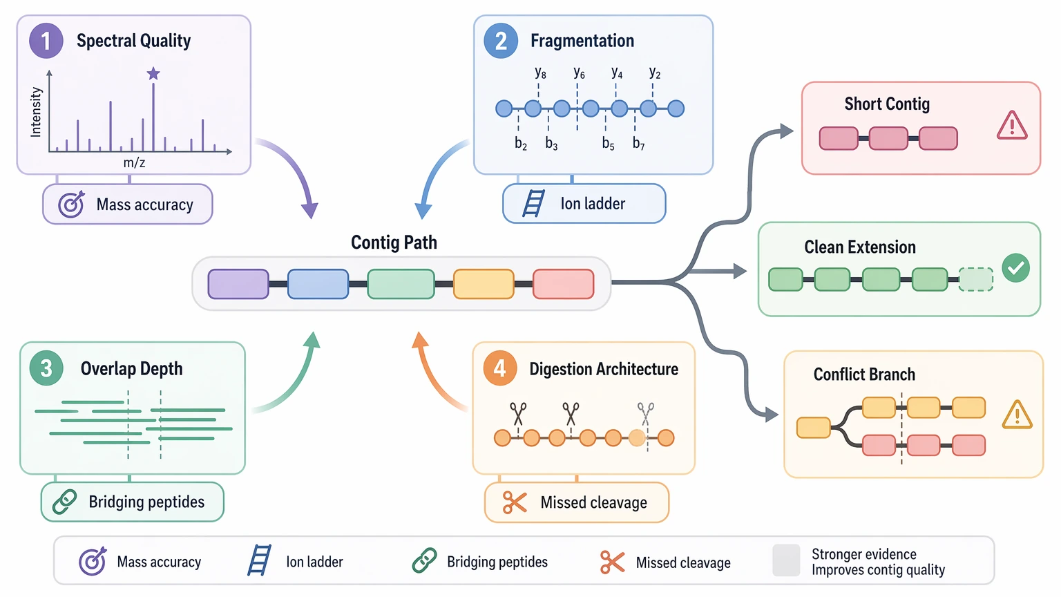 De novo assembly shotgun sequencing checkpoint map of spectral quality, fragmentation, overlap depth, and digestion architecture.