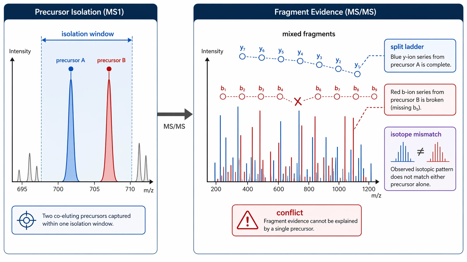 De novo sequencing by esi ms ms chimeric spectrum evidence view with co-isolation and split fragment ladders