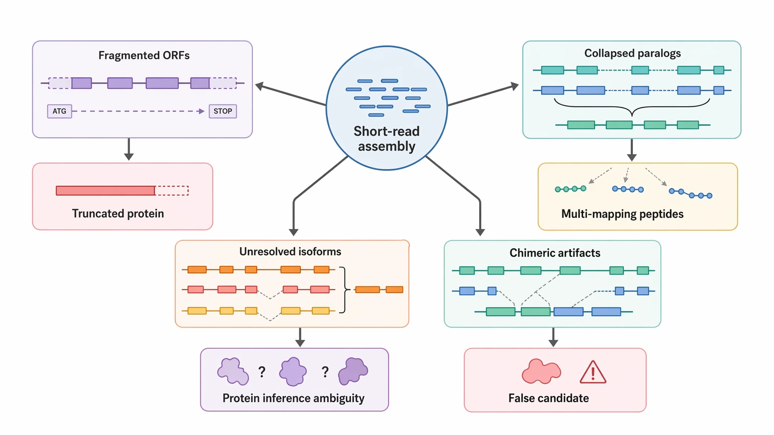 ngs sequencing de novo short-read assembly failure modes map showing fragmented ORFs, collapsed paralogs, unresolved isoforms, and chimeric artifacts