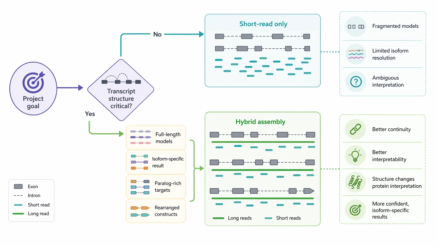 ngs sequencing de novo decision path for choosing short-read sequencing or hybrid assembly based on transcript structure needs