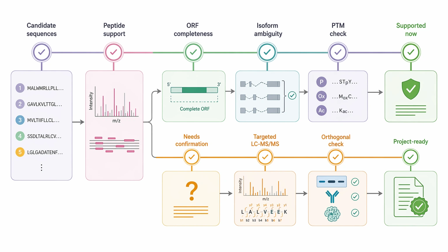 ngs sequencing de novo validation workflow checkpoint map for candidate sequences, peptide support, ambiguity review, and confirmation steps