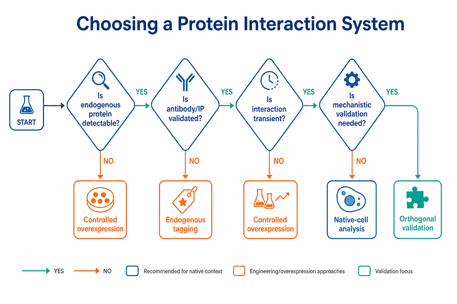 2071873982653616128-Figure_2_Choosing_a_Protein_Interaction_System.png
