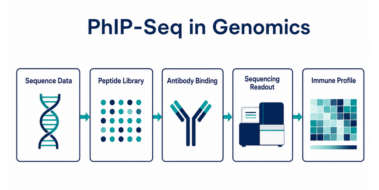 applications-of-phip-seq-in-genomics-01