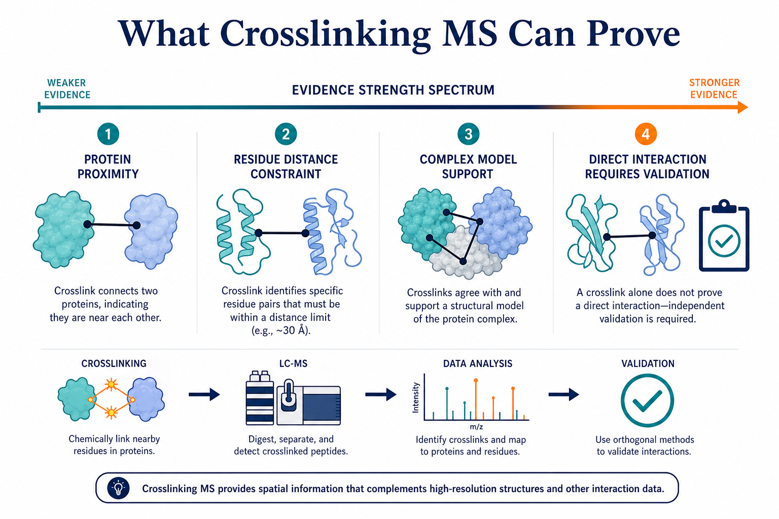 2071877953078251520-Figure_1_What_Crosslinking_MS_Can_Prove.png
