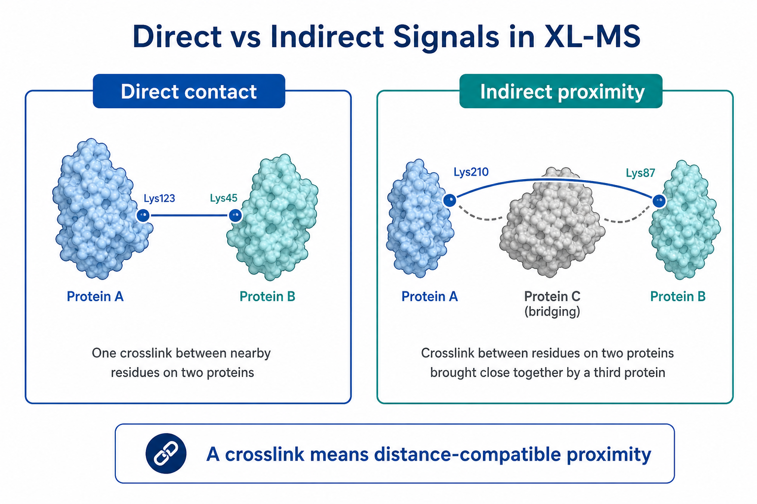 2071878118933614592-Figure_2_Direct_vs_Indirect_Signals_in_XL-MS.png