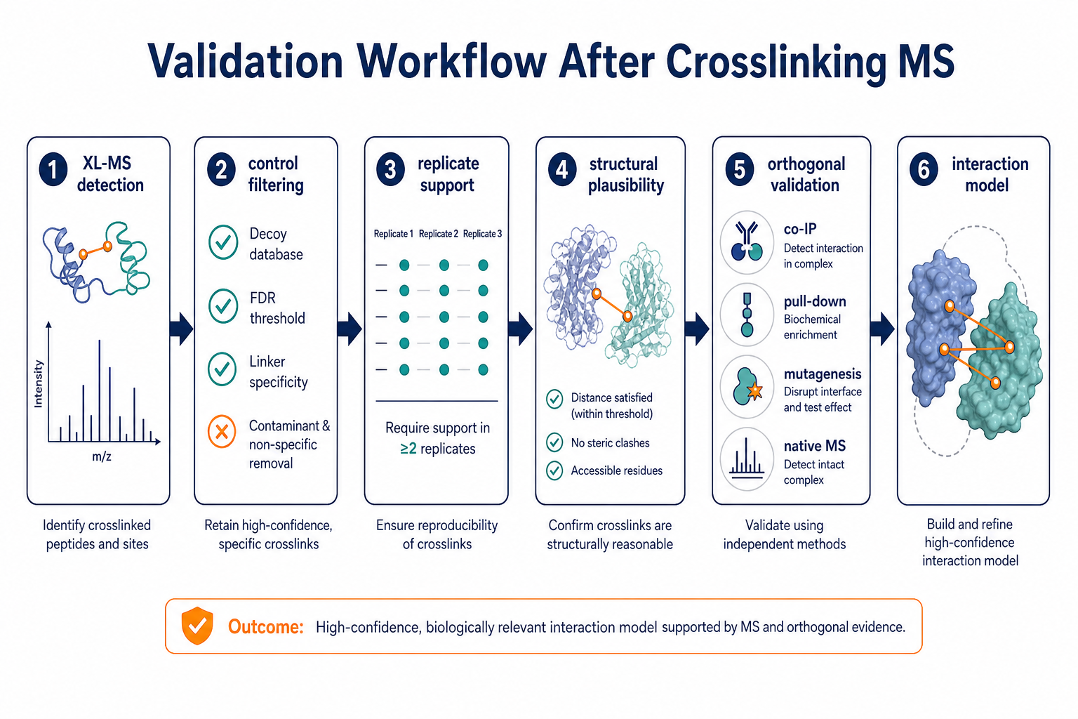 2071878663828230144-Figure_3_Validation_Workflow_After_Crosslinking_MS.png