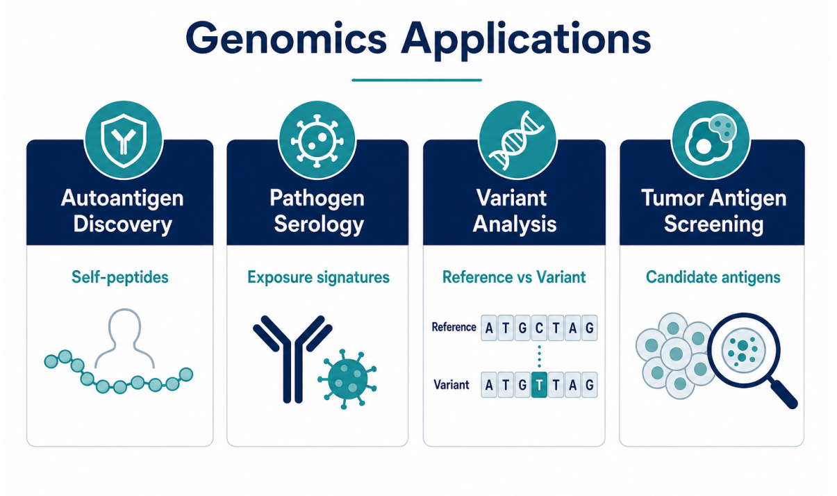 applications-of-phip-seq-in-genomics-03
