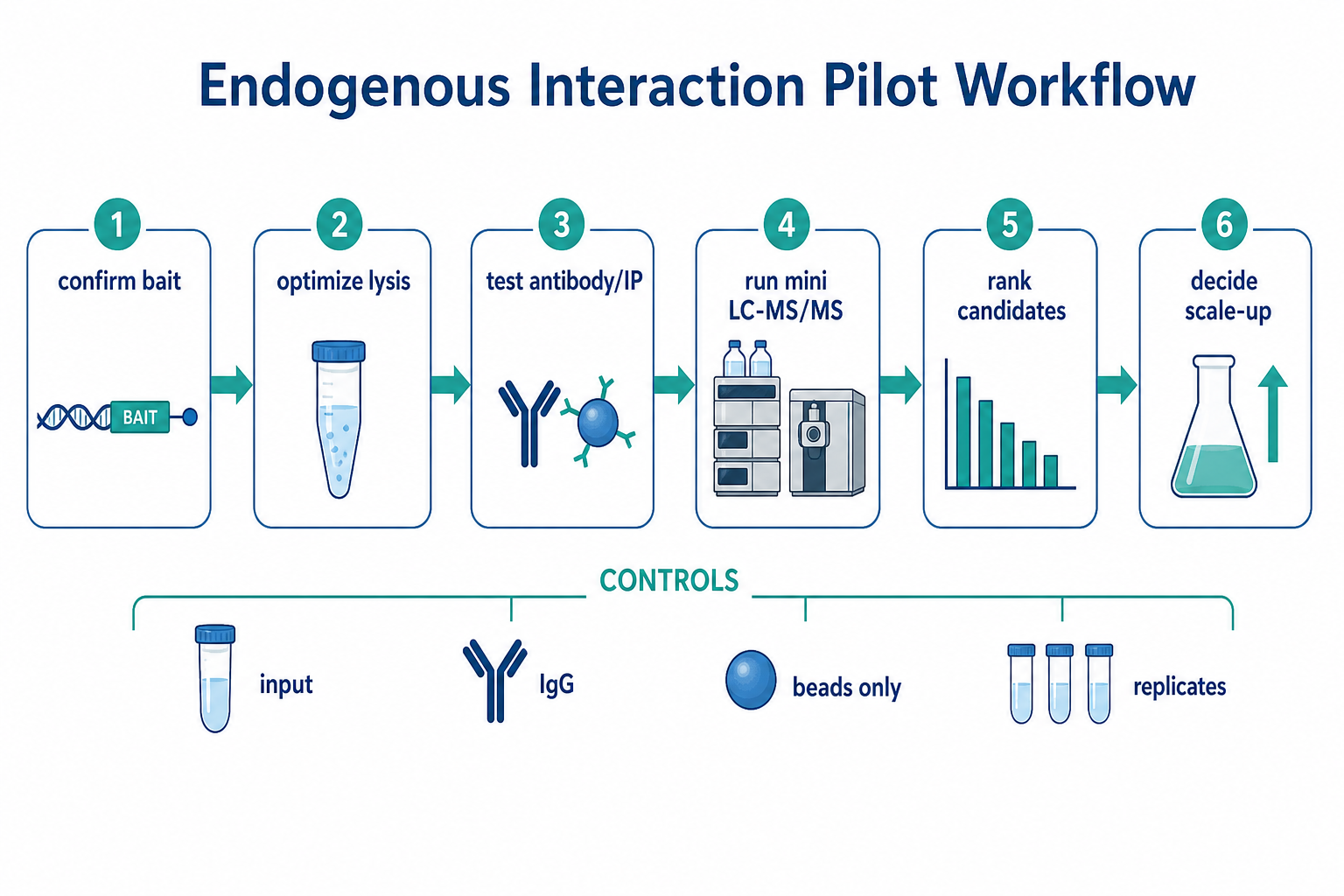 2071882811642564608-Figure_2_Endogenous_Interaction_Pilot_Workflow.png