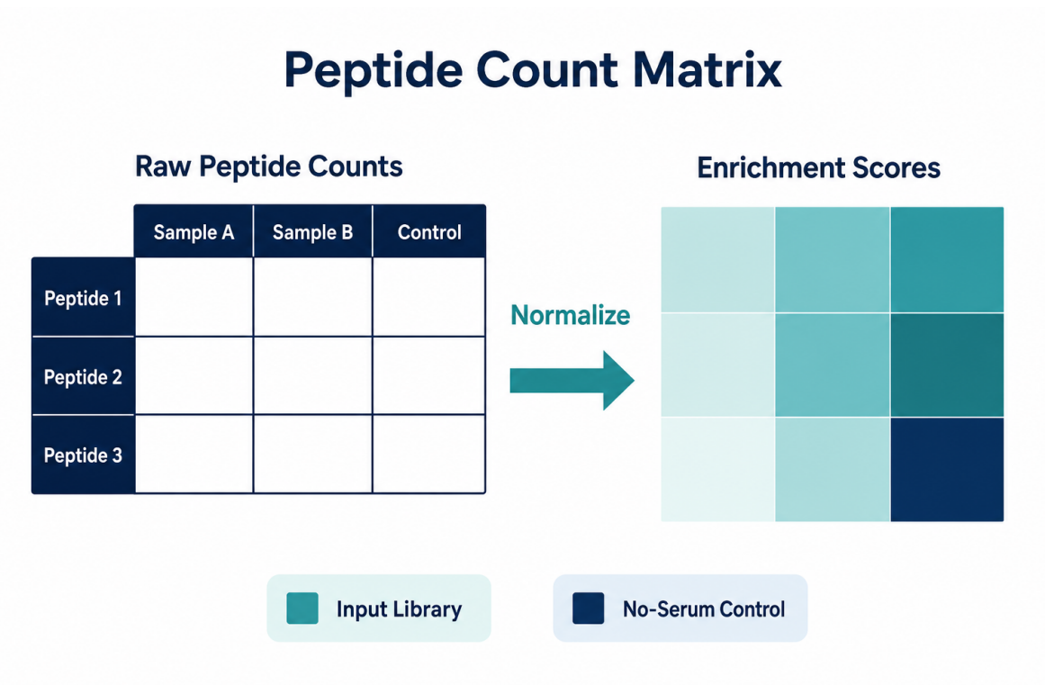 analyzing-data-from-phip-seq-experiments-02