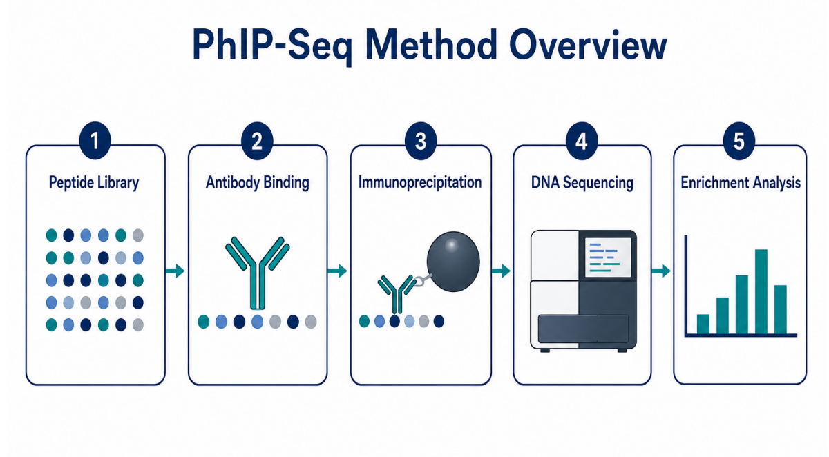 phip-seq-methods-applications-and-challenges-01