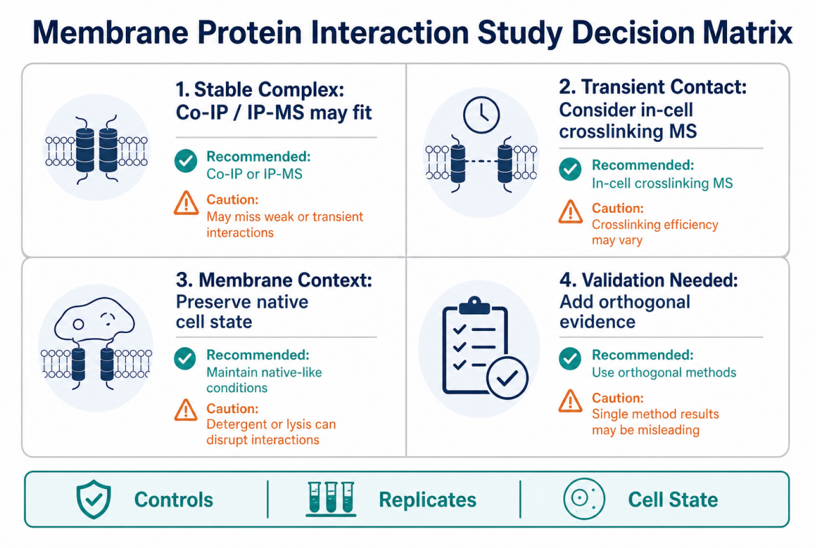 studying-membrane-protein-interactions-in-native-cells-why-overexpression-can-mislead-and-how-in-cell-crosslinking-ms-helps-03