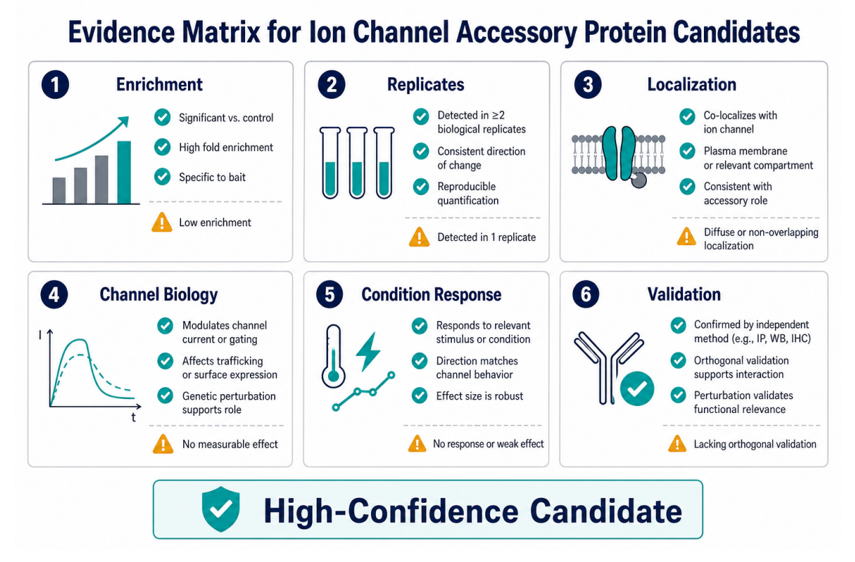 how-to-identify-accessory-proteins-of-ion-channels-by-mass-spectrometry-03