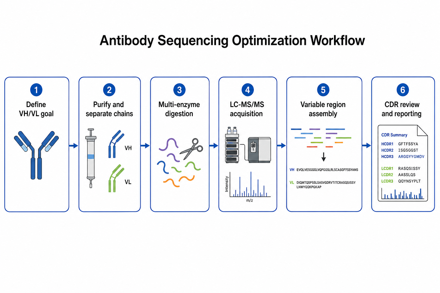 2072210082379157504-antibody-sequencing-optimization-workflow.png