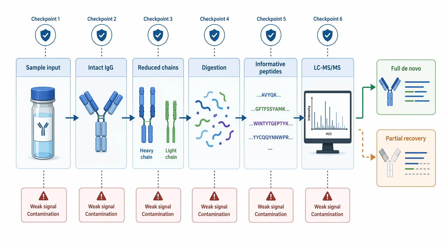 Hybridoma monoclonal antibody sequencing interpretability screen with sample checkpoints before full de novo sequencing