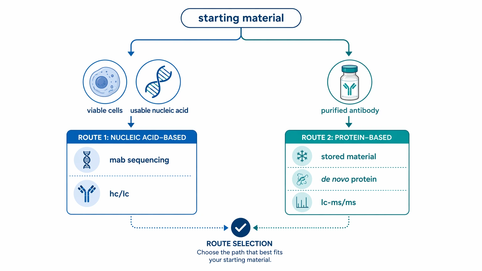 Monoclonal antibody sequencing decision path based on starting material, showing viable cells or purified antibody routes.