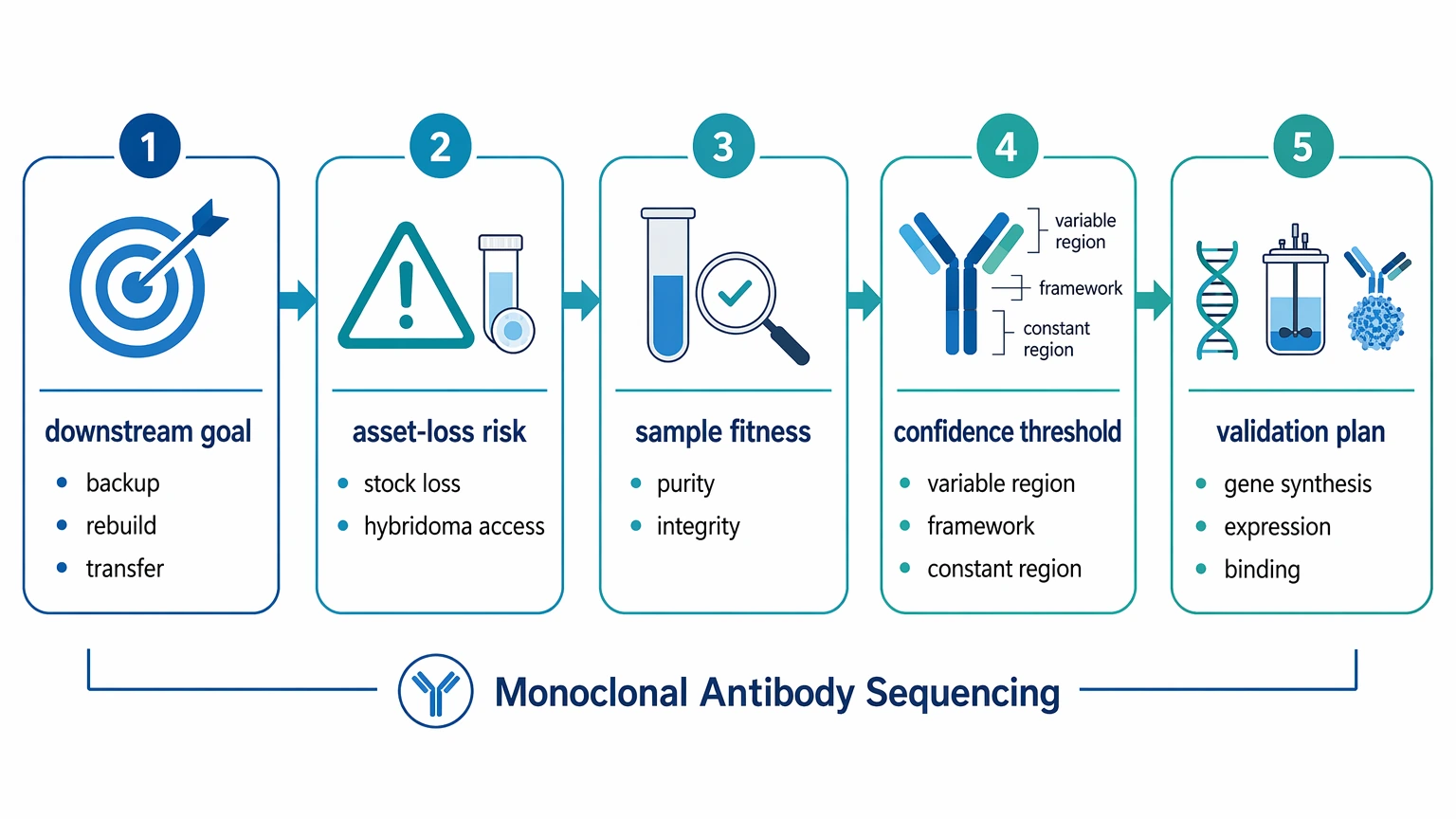 Monoclonal antibody sequencing planning workflow showing downstream goal, asset-loss risk, sample fitness, confidence threshold, and validation plan.