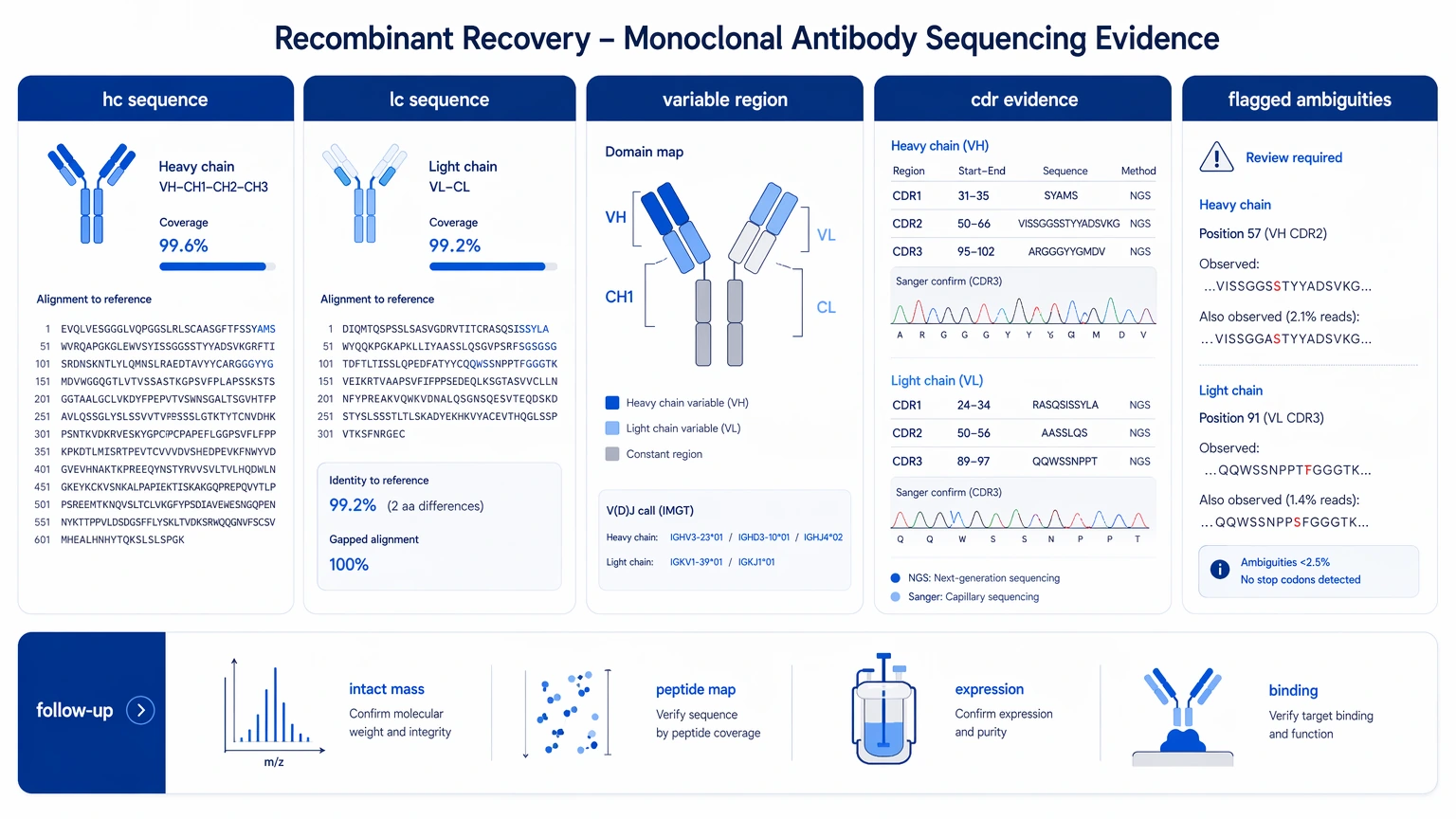 Monoclonal antibody sequencing deliverables view showing heavy-chain and light-chain sequences, variable-region reconstruction, CDR evidence, and flagged ambiguities.